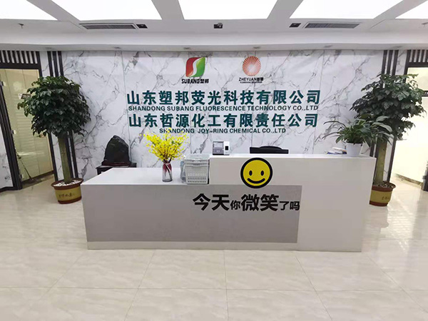 山東哲源化工有限責任公司